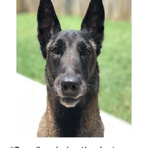 Meet your Posher, Jen